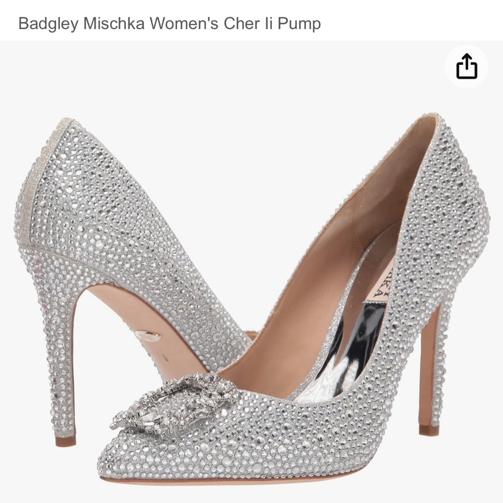 Badgley Mischka Women's Cher li Pump
Silver Glitter new women 8.5 gently used